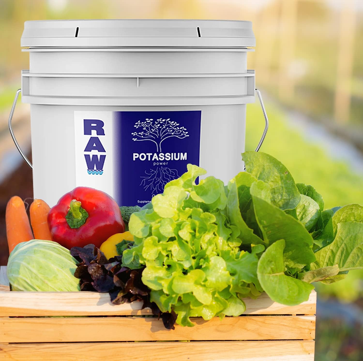 RAW Potassium Fertilizer 0-0-50 25lb | Water Soluble Potash for Flowering Plants & Bloom Stage Hydroponic Nutrients for Indoor Plants Garden & Vegetable Fertilizer