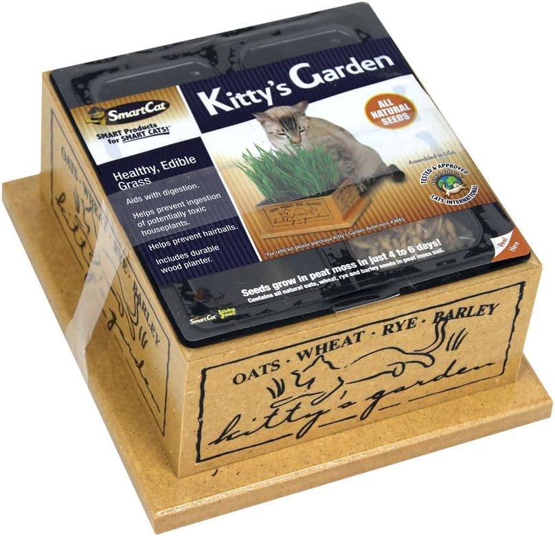 Smartcat 3844 Kitty’S Garden Edible Grass Planter 6.8 x 6.2 x 3 inches