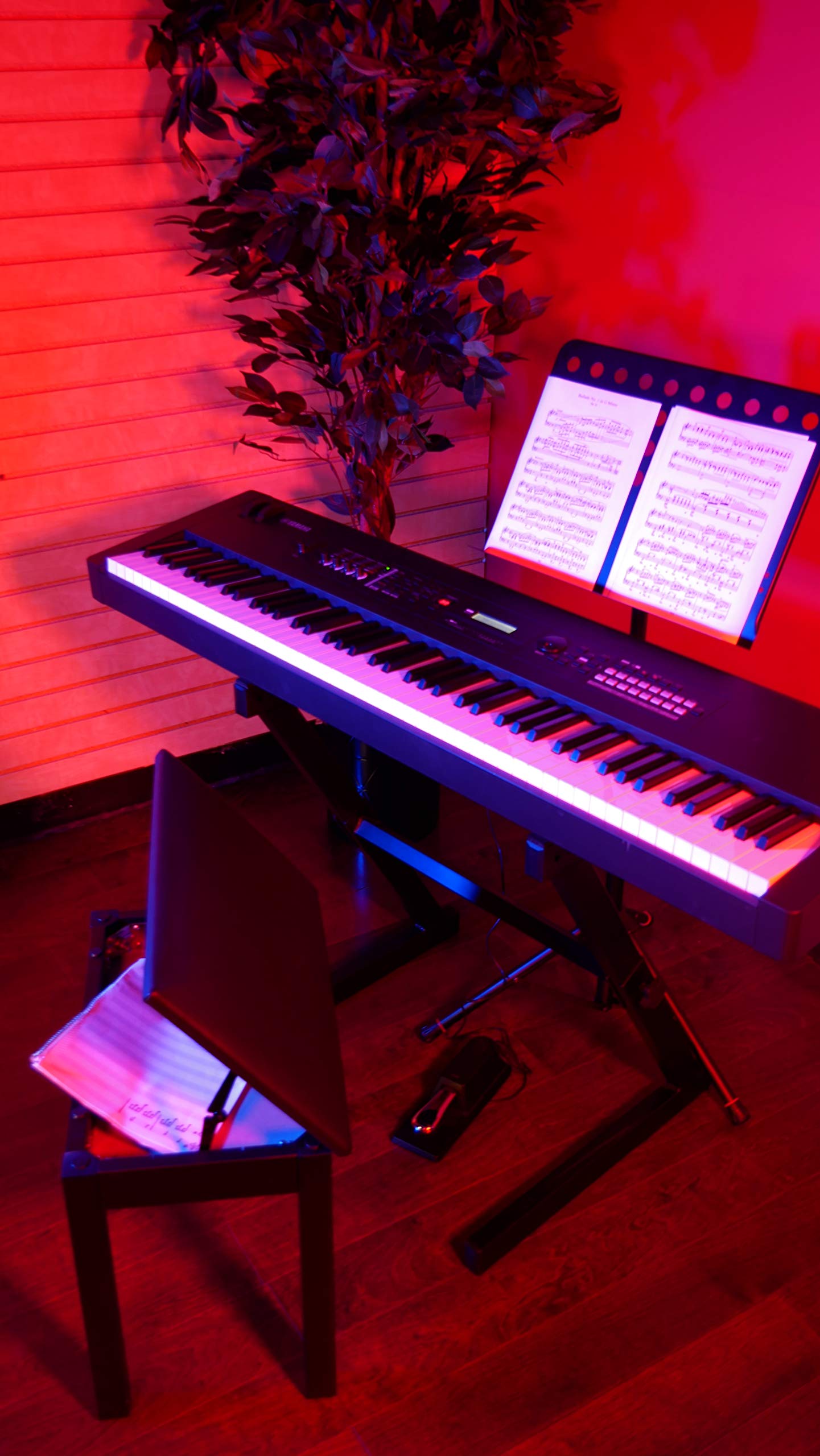 Gator Frameworks GFW-KEYBENCH-WDBKS Deluxe Klavierbank – Holzbank in Schwarz mit aufklappbarem Ablagefach, gepolsterte Sitzfläche, ideal für Piano, Keyboard, Studio & Bühne