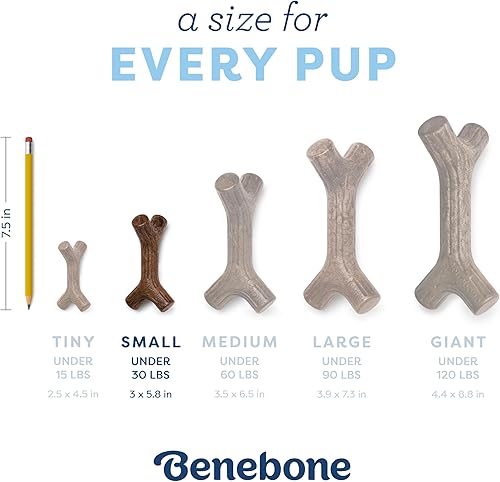 Vista 27 de Benebone Puppy Wishbone - Juguetes masticables para perros, más suaves para masticadores modestos, fabricados en Estados Unidos, mediano