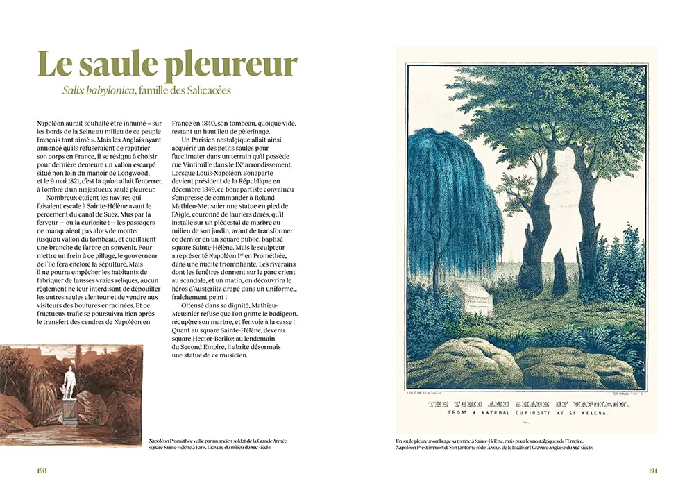 Les 100 plantes qui ont fait l'histoire - Du lotus bleu de Cléopâtre à l'absinthe de Toulouse-Lautrec