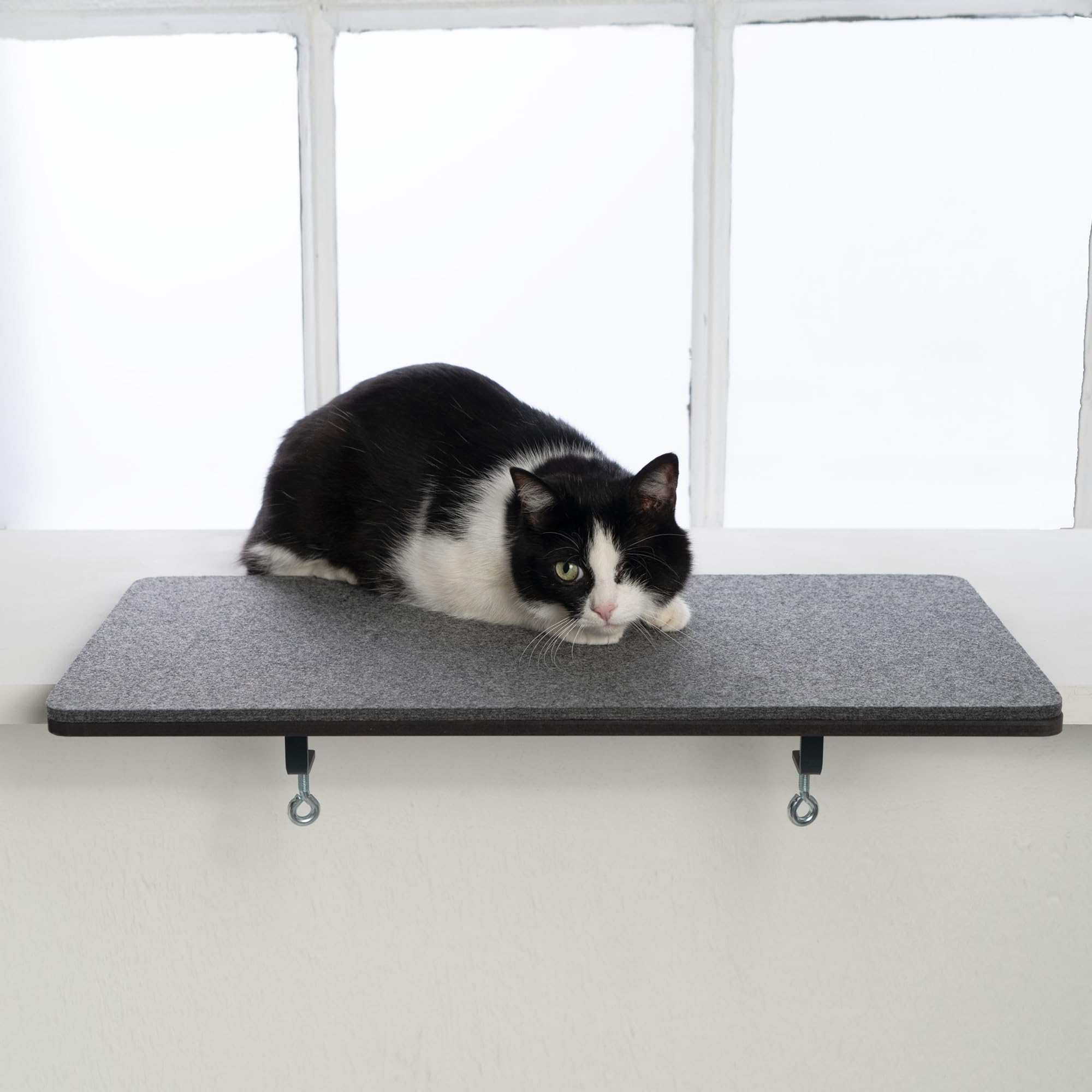 LucyBalu® Fensterbrettauflage für Katzen aus Wollfilz | Liegematte Fensterbank Katze | Katzenkissen | Fensterliegeplatz Katzen | Katzenbett Fensterbank | Fensterliege als Katzenfensterbett | Anthrazit