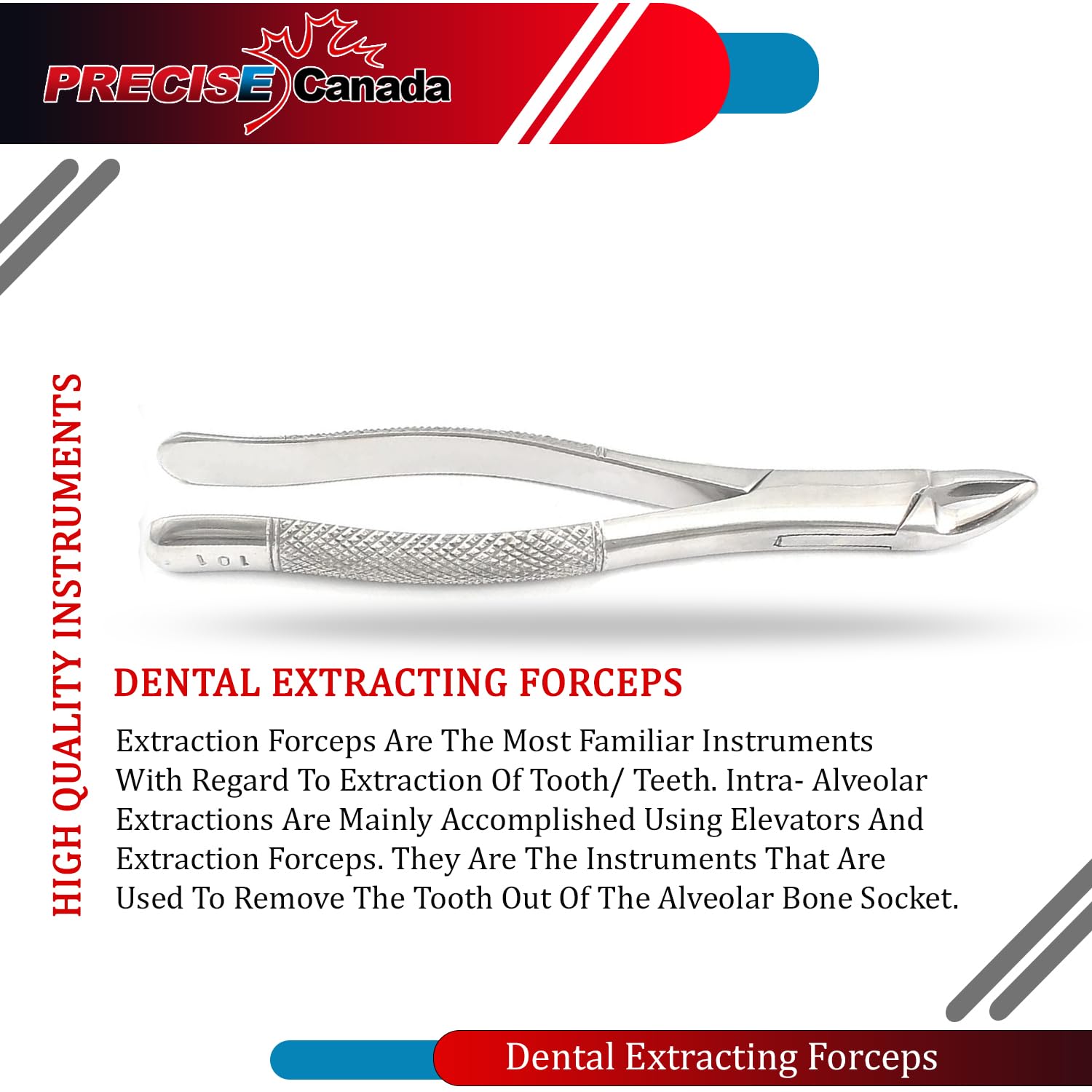 PRECISE CANADA: EXTRACTING Forceps 101 Upper and Lower BICUSPIDS and DECIDUOUS Universal
