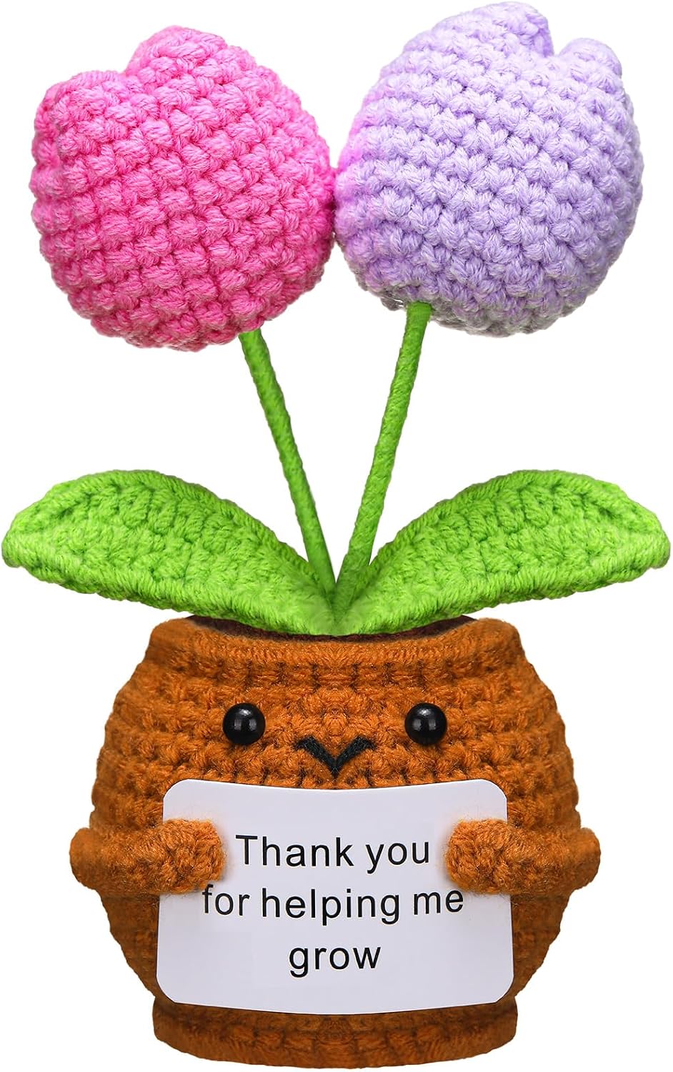 Wavwavw Christmas Teacher Appreciation Gift, Tulip Flowers