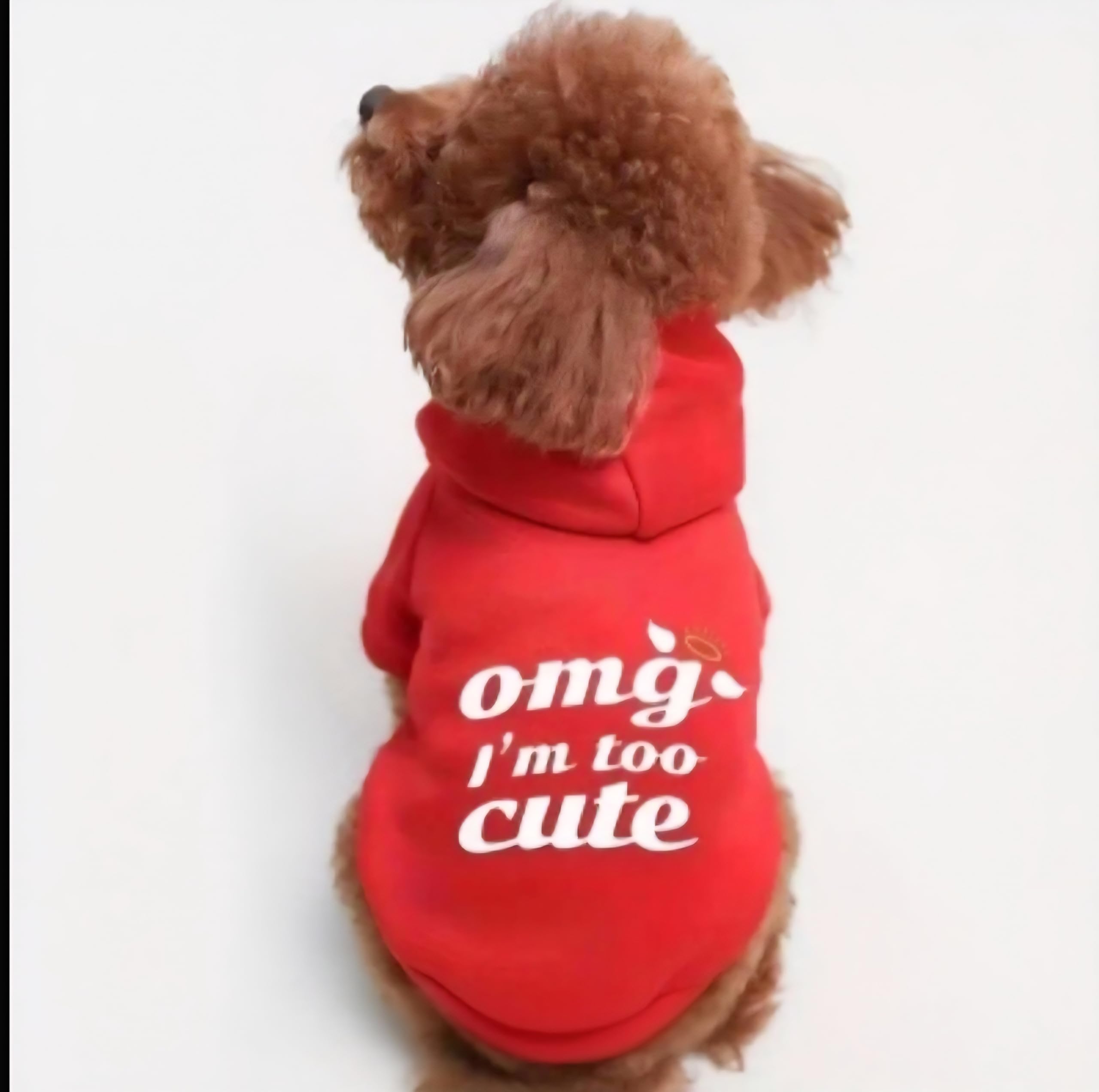 Pet Hoodie, Thickened Cotton Blend Winter Sweatshirt for Dogs and Cats, Letter Print Design, Multiple Colors, Regular Fit with Kangaroo Pocket, Machine Washable (Large (Chest Size 42cm))