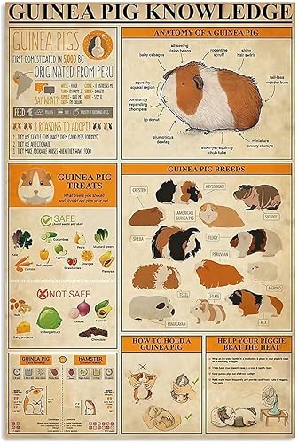 QSHPO Letreros metálicos de conocimiento de conejillos de indias, placa retro, guía científica, pósteres de granja, club, decoración de pared para