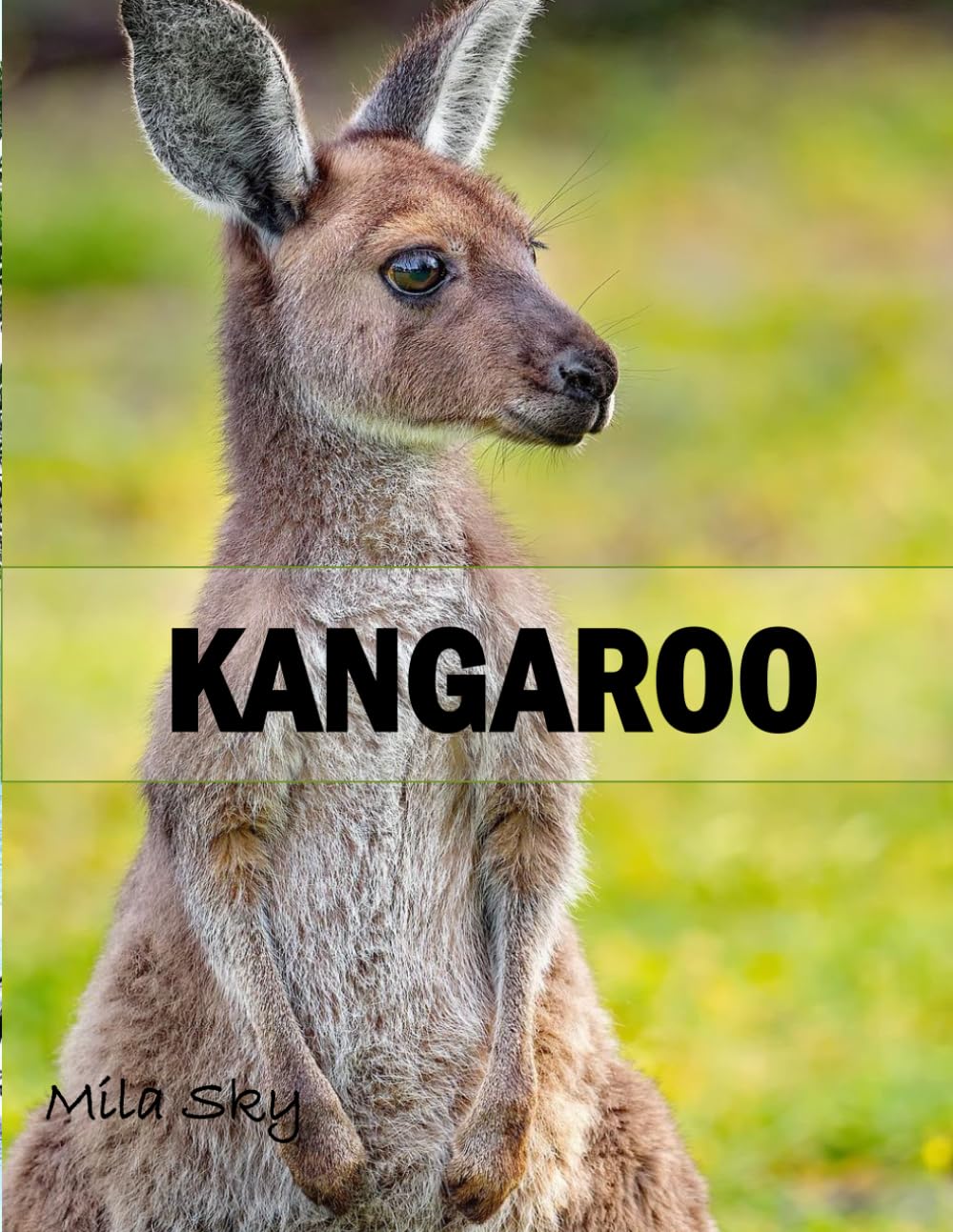 KANGAROO: A Coffee Table Photo Book for Animal Lovers