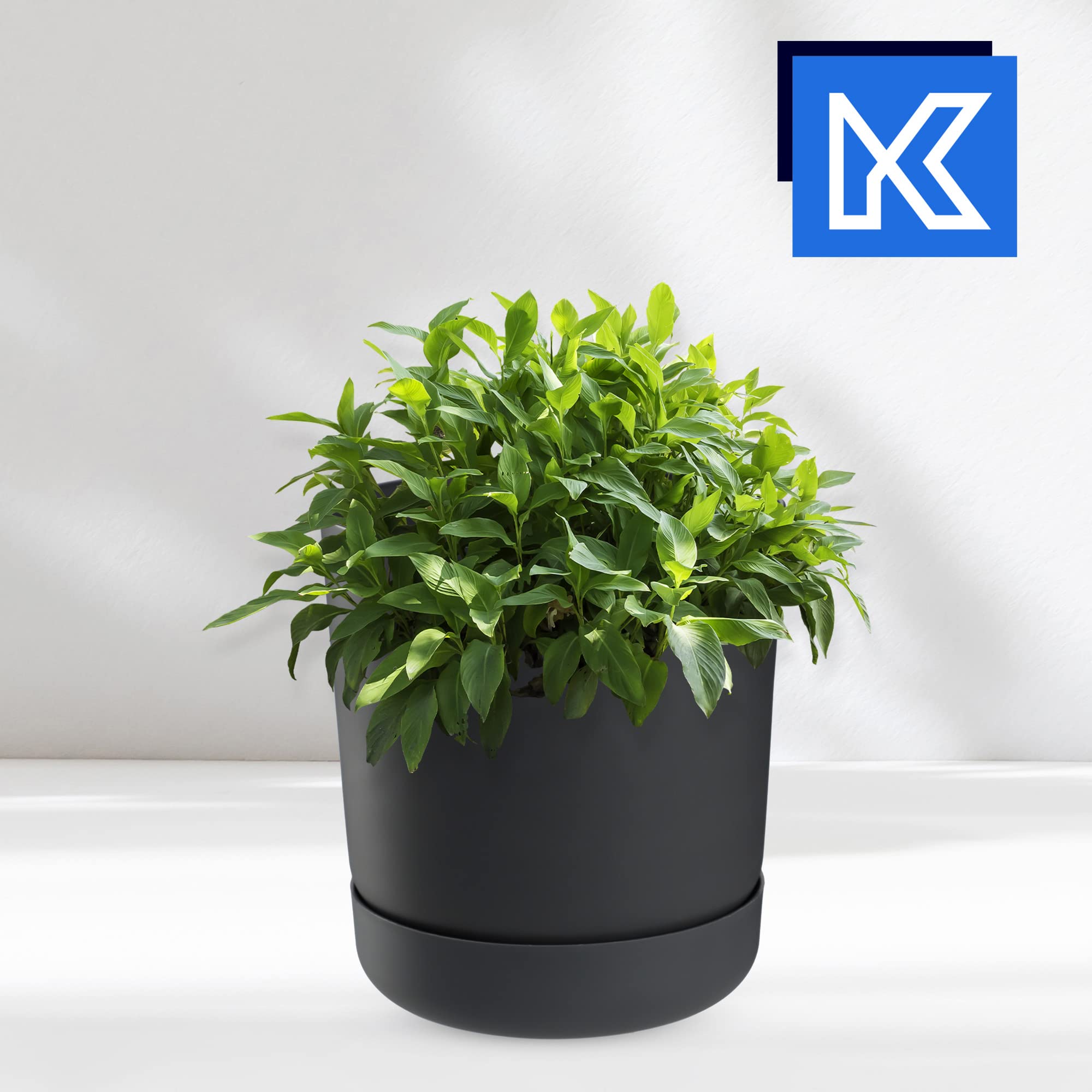 KADAX Vaso Da Fiori Con Sottovaso In Plastica – Minimalista, Resistente Al Gelo E Al Calore, Diametro 15 Cm, Bianco - copertina