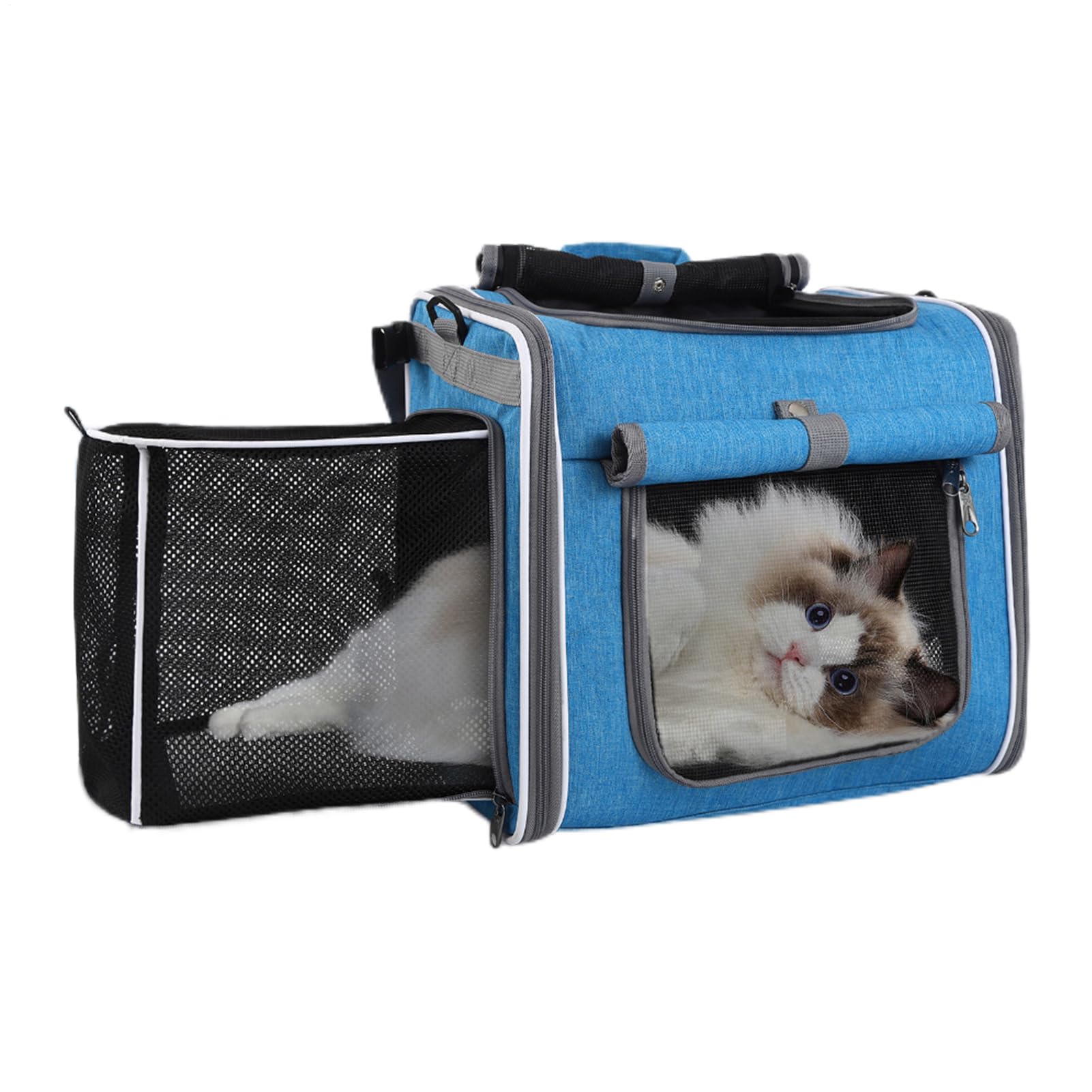 Panier pour Chien sur Vélo Panier Pour Chien Vélo | Sac à Dos Réglable Ventilé pour Transport Randonnée Camping