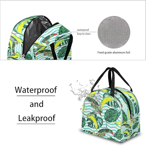 Miniatura 4 de Bolsa de almuerzo con hojas de palmera de plátano para mujeres, adultos, hombres, lonchera aislada abstracta, pequeña a prueba de fugas, linda