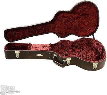 ギター テイラー 純正ハードケース 214ceDLX Taylor hardcase