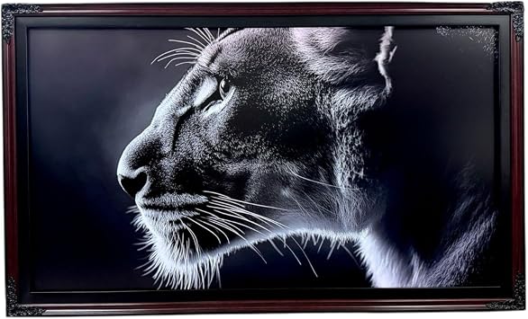 55 inch TV frame for TCL NXTVISION TV. Satin Black with Gold Leaf not for use with other brands or models Handmade wood tv frame FITS 55