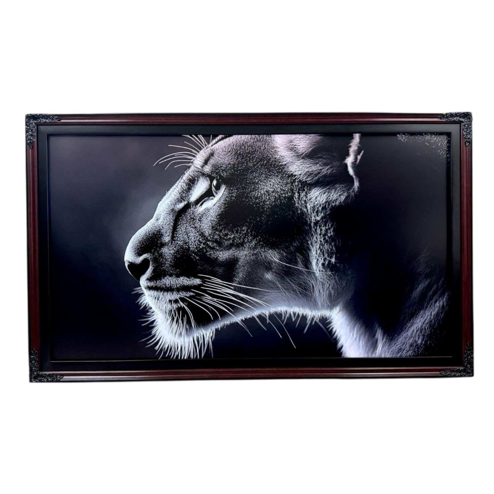 Amazon.com: 55 inch TV frame for TCL NXTVISION TV. Satin Black