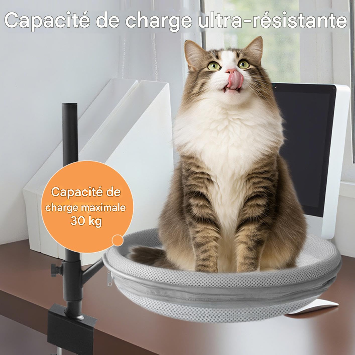Hamac De Bureau Pour Chat Perchoir Amovible Pour Animal De Compagnie