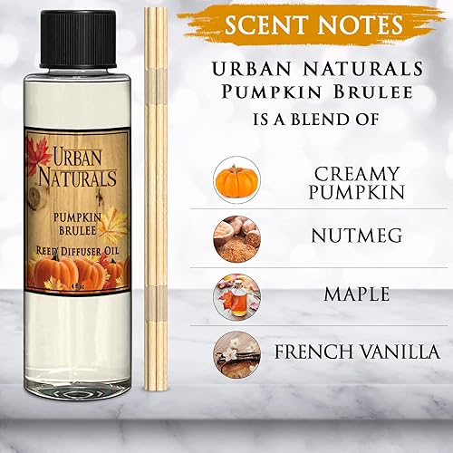 Miniatura 149 de Urban Naturals Reed Diffuser Oil Refill Ocean Mist Sea Salt with Salt Spray, Violet Leaf, Sea Grass, Driftwood 8 oz + Free Reed Sticks, Made in The