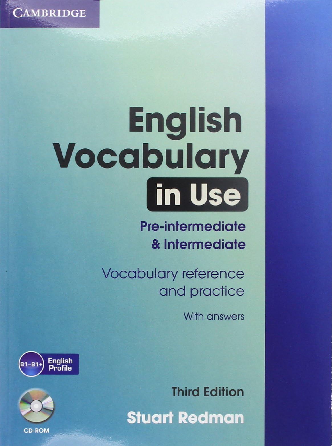 English Vocabulary in Use: Pre-intermediate and Intermediate with Answers and CD-ROM 3rd Edition