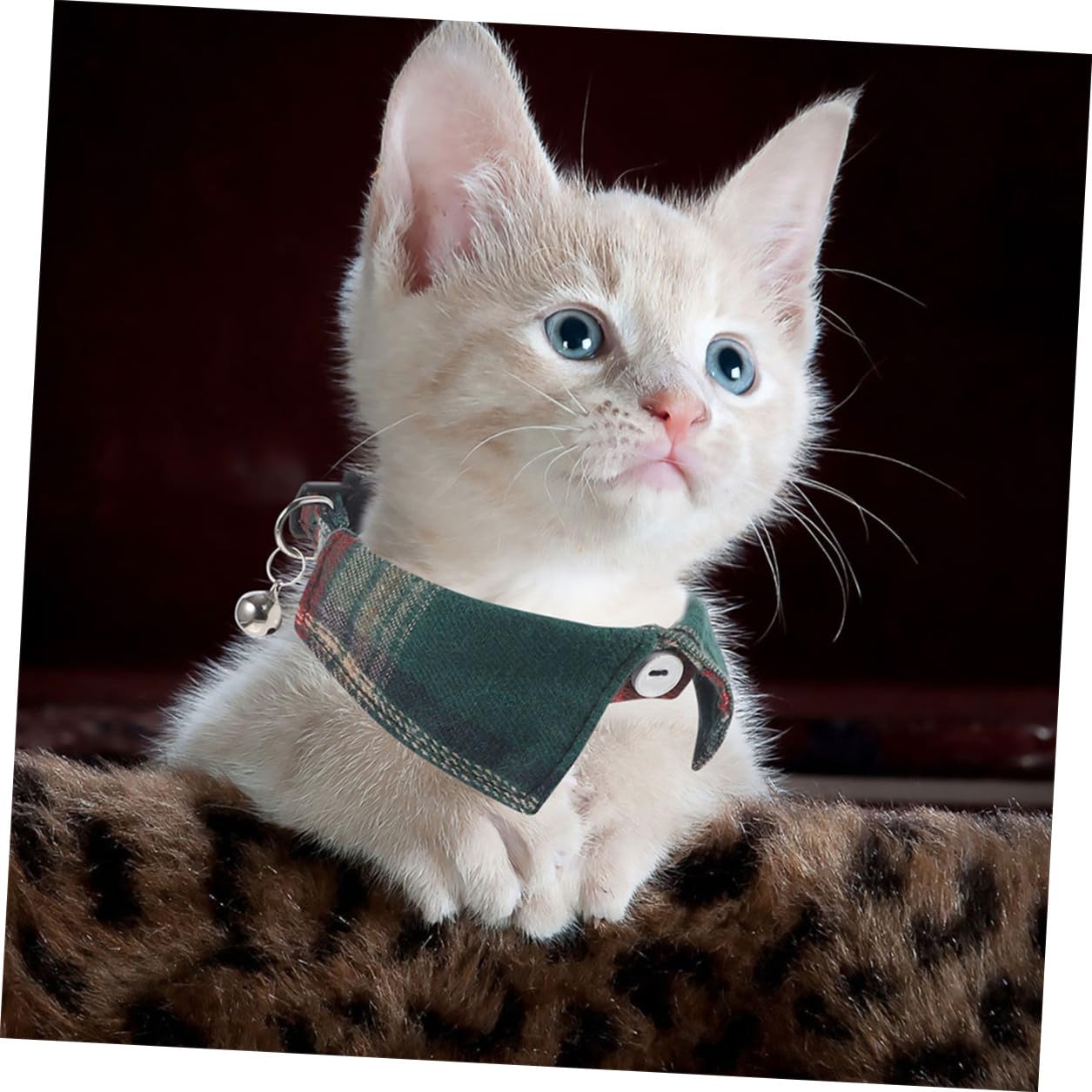 TOYANDONA 10 Pièces Collier pour Chat Ajustable avec Nœud et Clochette,
