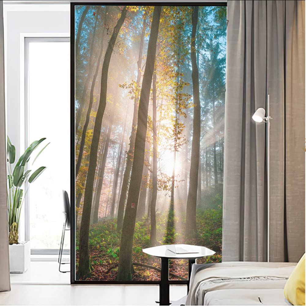 Folia szklana Prywatność Folia okienna Dekoracja lasu Naklejki okienne Bez kleju Statyczne przyleganie Matowa folia do domu(70x180cm)