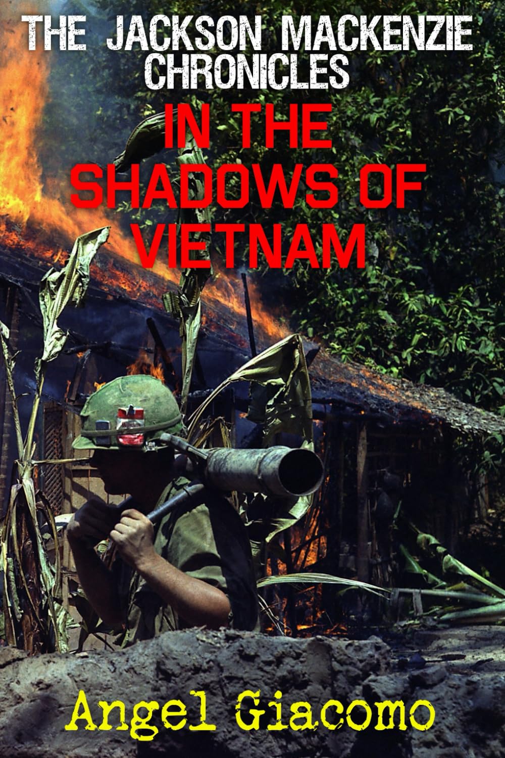 The Jackson MacKenzie Chronicles: In the Shadows of Vietnam Paperback – January 11, 2024