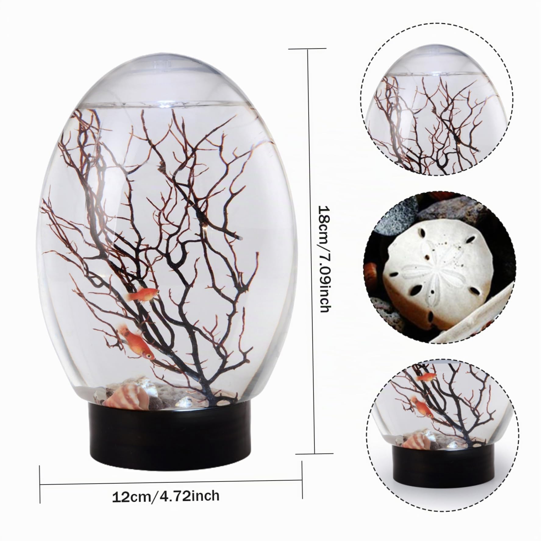 Mini Aquarium de Bureau avec éclairage LED, écosystème Autonome, Pas Besoin de Nourrir ni Changer l'eau, écosystème Aquatique fermé pour la Maison, Le Bureau, l'écosphère crevettes, la bios