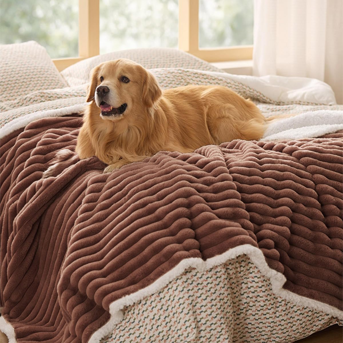 Couverture imperméable en polaire sherpa lavable pour animal de compagnie de taille moyenne et grande pour canapé, lit et protection de siège de voiture - Jeté en peluche douce pour chiot et chaton