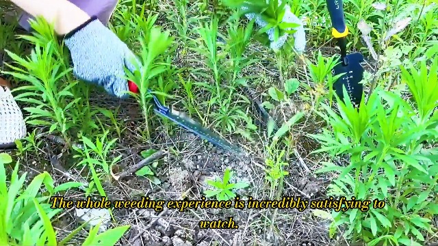 Palita de Jardín de Acero Inoxidable con Cutter de Raíz miniatura 7