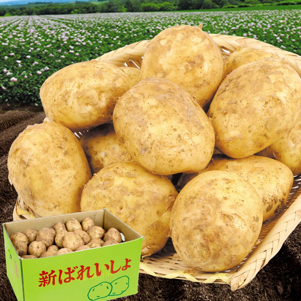 Amazon.co.jp: じゃがいも 九州産 新ばれいしょ 10kg 新じゃが 食品