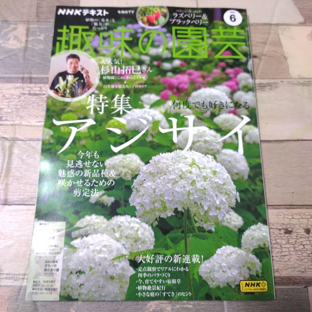 HEMP./5メートル 幅約36cm 生成り大麻布・モン族の伝統的手織り HEMP./5メートル 幅約36cm 生成り大麻布・モン族の伝統的手織り