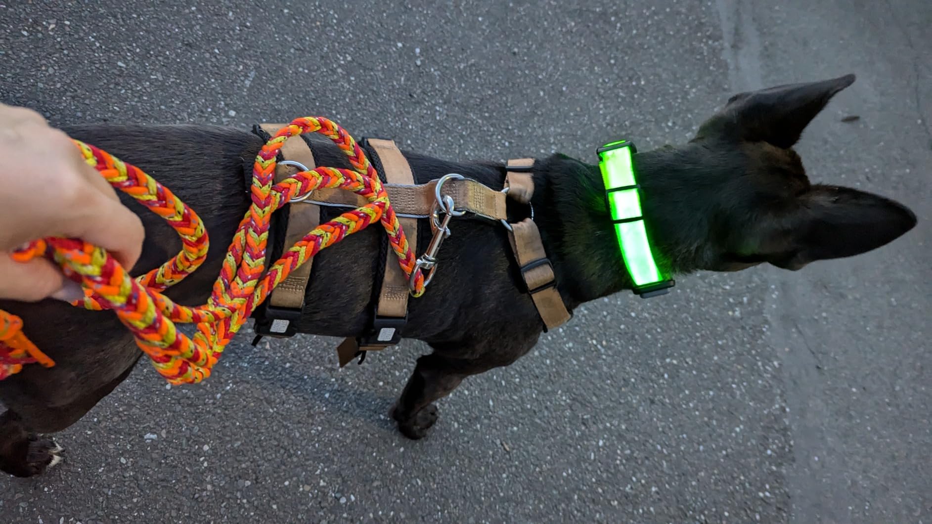 Genau wie benötigt.