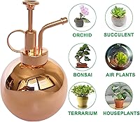 Vista 6 de Pulverizador de plantas de acero inoxidable, botella de nebulización de plantas, herramientas modernas de jardinería para plantas en macetas