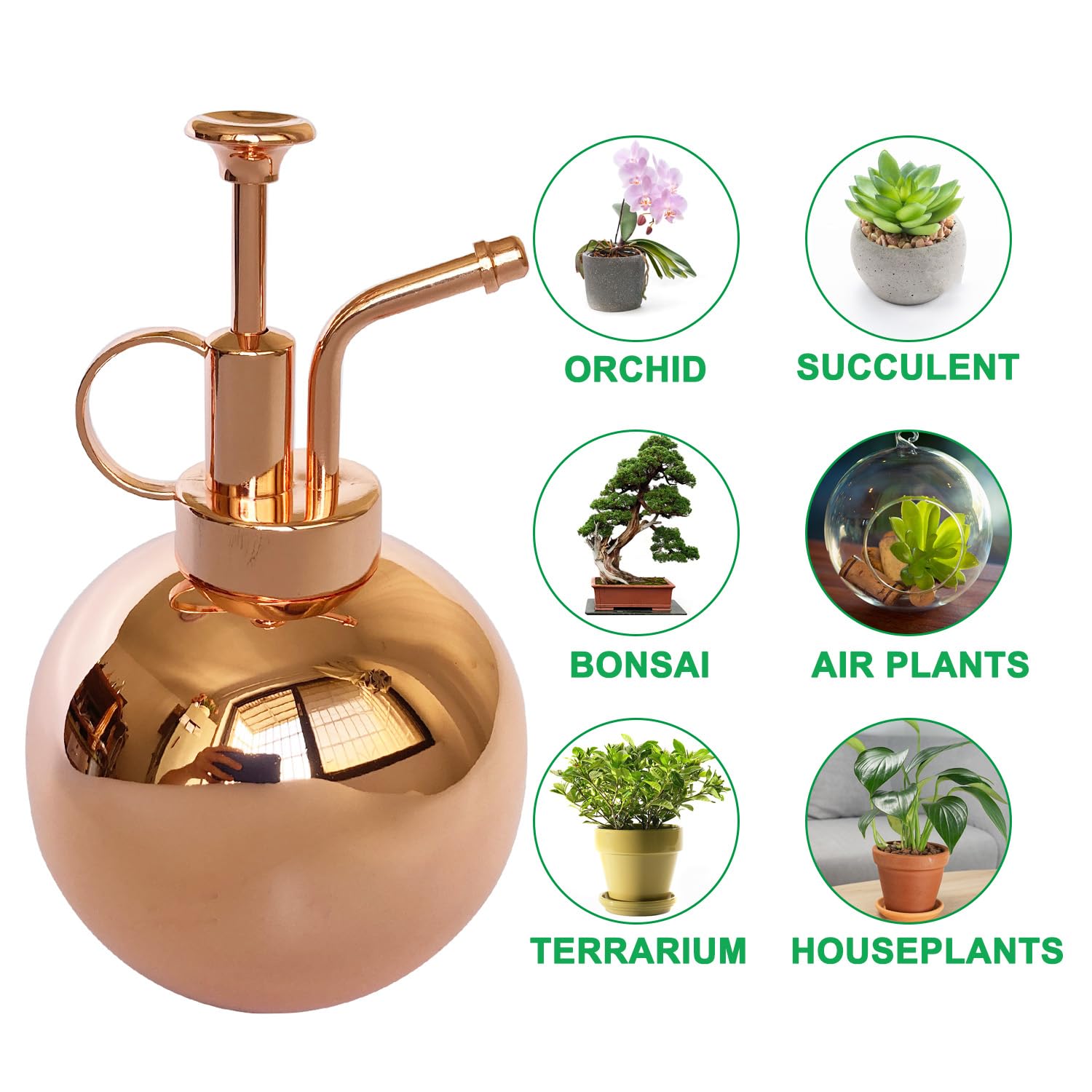 LianShi Flacon pulvérisateur en Acier Inoxydable pour Plantes-Petit arrosoir-Outils de Jardinage Modernes pour Plantes en Pot d'intérieur-Arrosage et pulvérisation (Couleur Or, 0.3L LianShi Flacon pulvérisateur en Acier Inoxydable pour Plantes-Petit arrosoir-Outils de Jardinage Modernes pour Plantes en Pot d'intérieur-Arrosage et pulvérisation (Couleur Or, 0.3L