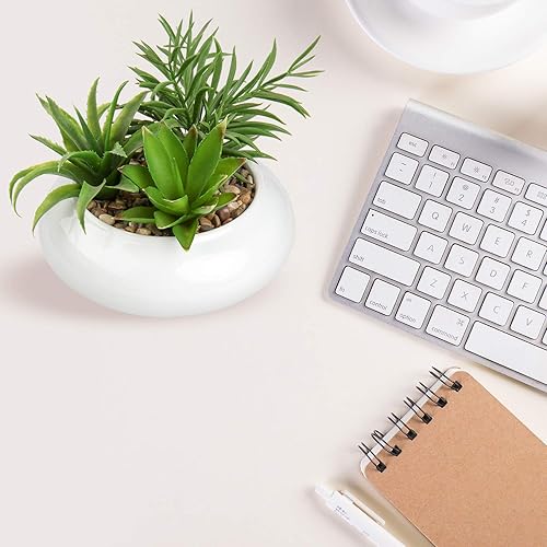Miniatura 6 de Hollyone Plantas suculentas artificiales grandes en macetas, plantas suculentas falsas de plástico en maceta con maceta de cerámica blanca para 1