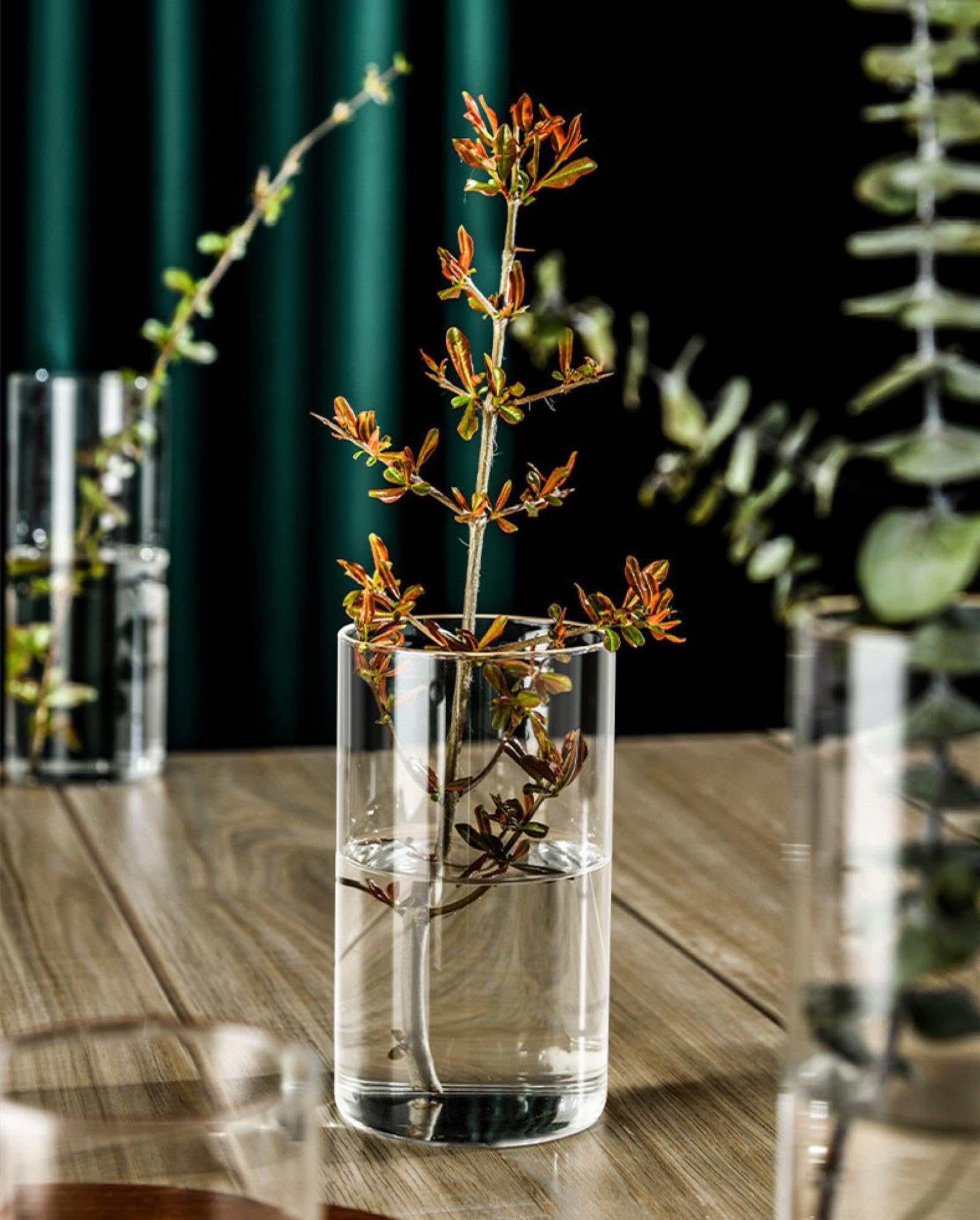 Amazon.co.jp: まっすぐなガラスの花瓶、透明な丸い水耕栽培の花瓶