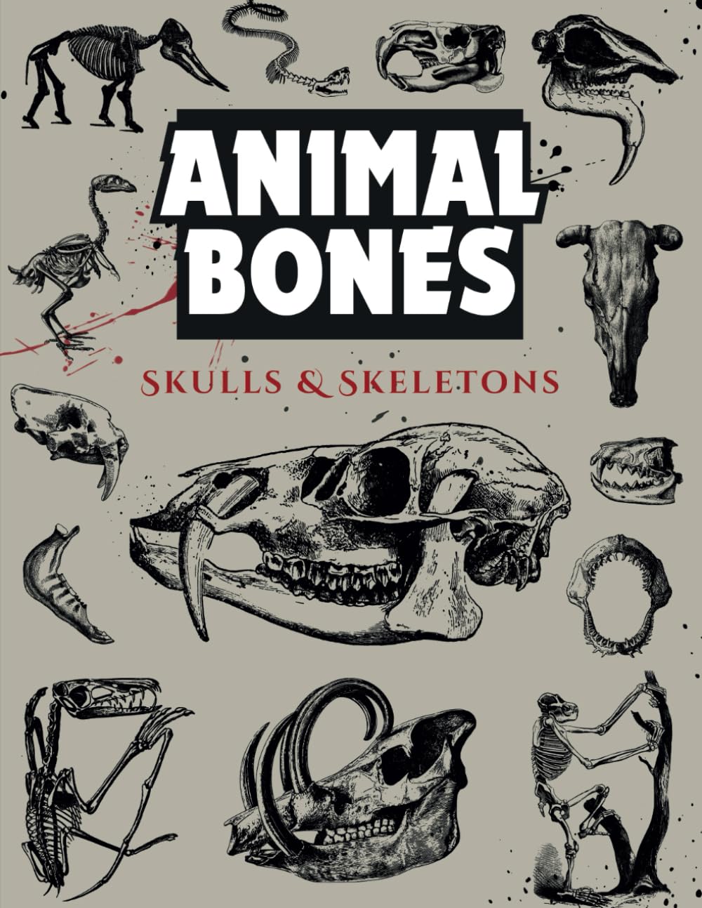 Animal Bones: Skulls & Skeletons: Over 150 Detailed Designs for Artists and Nature Enthusiasts (Artistic Inspiration Series)