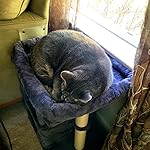 Review Image by Duma Duma