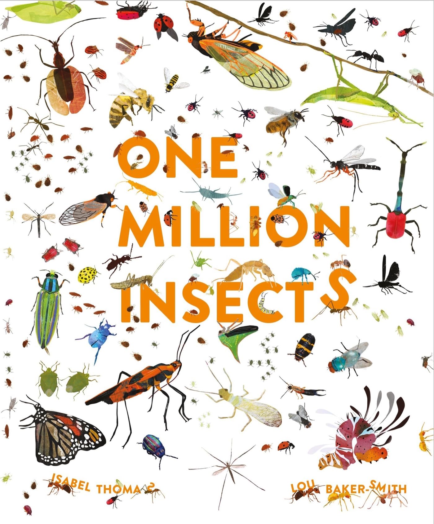 One Million Insects by Isabel Thomas (Hardback Book)