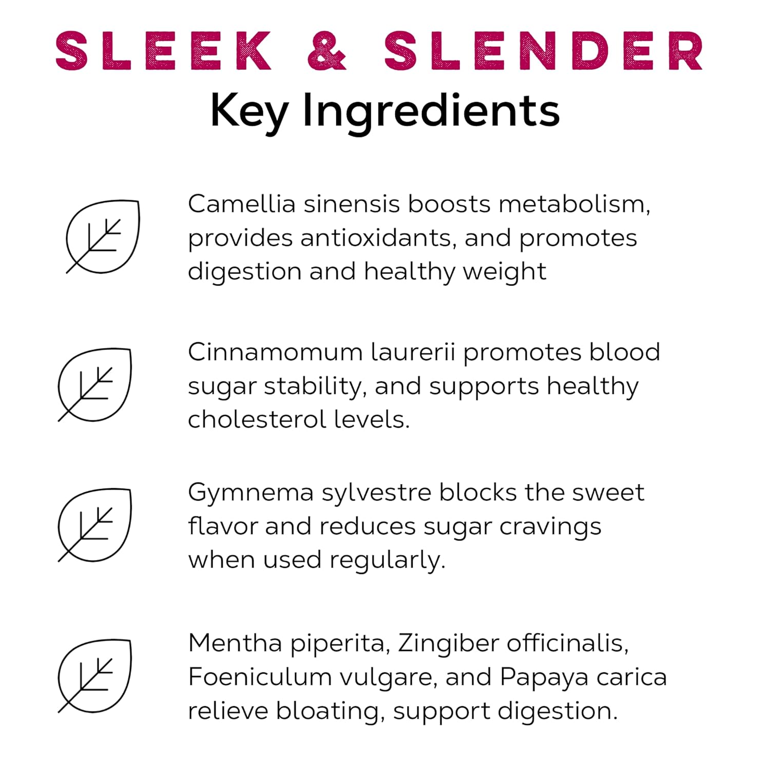 Loose Leaf Tea Market | Sleek & Slender