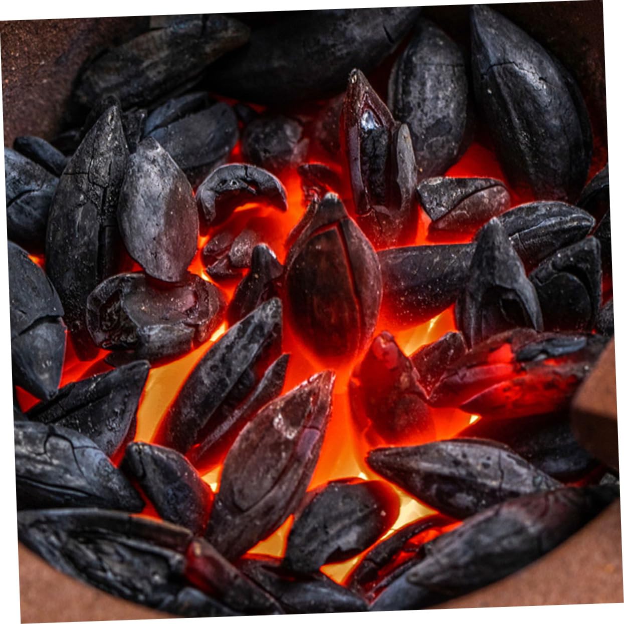 Carbone da Griglia per Barbecue e Campeggio, Sacchetto 500g Nero | Legno di Ulivo, Uso Versatile e Semplice, per Cottura All’aperto, Confezione 1 Sacchetto