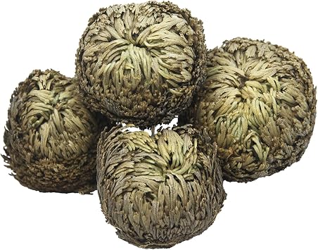 4 Pack Rose of Jericho Resurrection Plants Rosa de Jerico Original Dried Flowers Fern Scale Leaf Prayer Plants for Spiritual Purification Home Decor Vase Filler ldeal Present for Plant Lovers