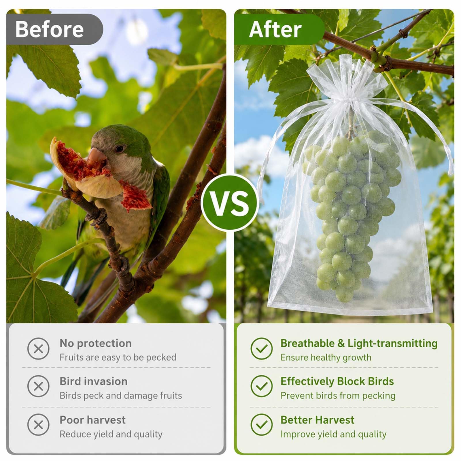 100 Piezas Bolsas para Uvas en Parra, 30 x 40 cm Bolsas Protectoras para Uvas, Bolsa de Protección de Frutas con Cordón, Bolsas Proteccion Uvas para Proteger contra Pájaros Drosophila Avispas