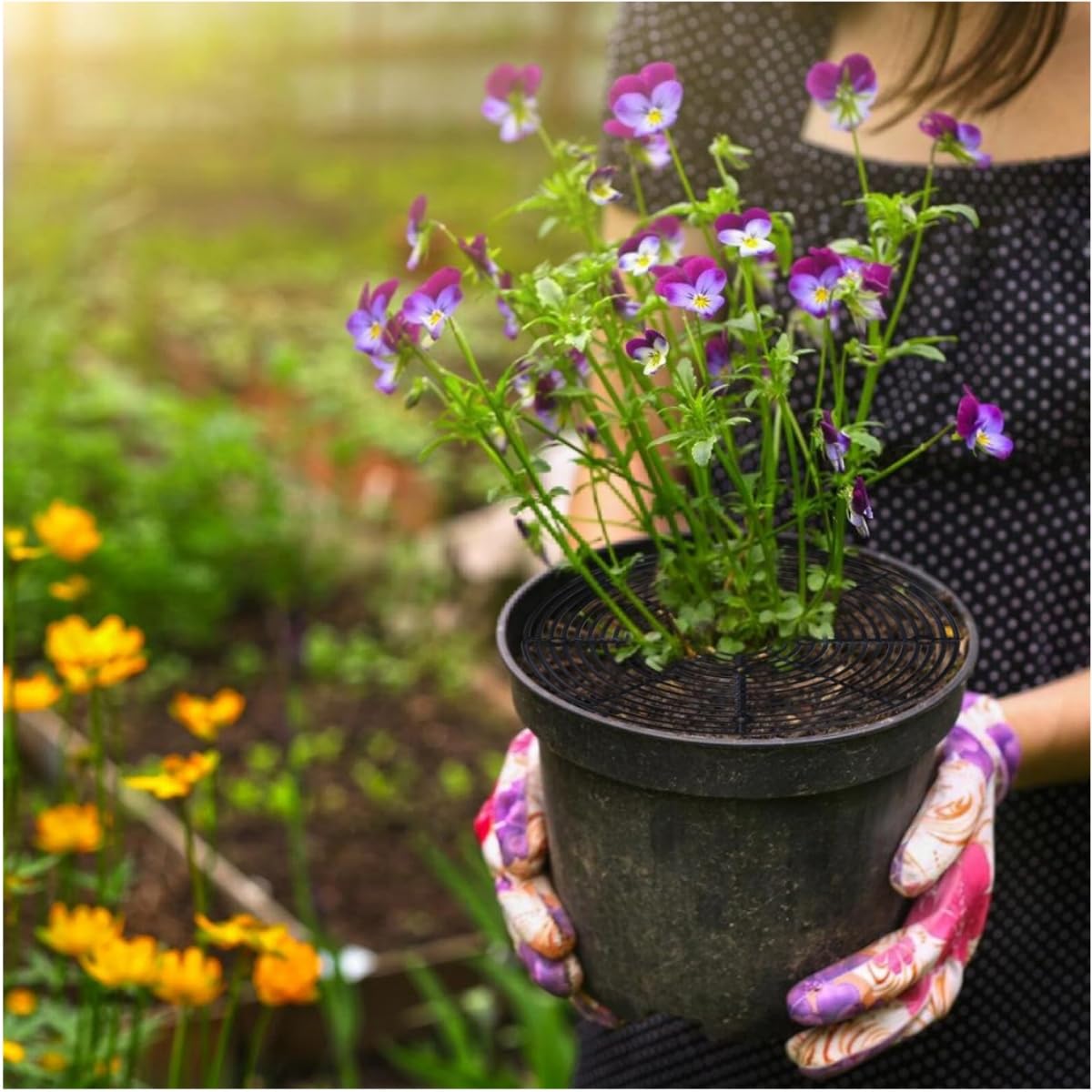 Grille Protection Plante,2 pièces 30 cm Protections de Sol pour Pot de Fleurs,grilles pour Pot de Fleurs,Protection Contre Les Chats,Les Enfants,Les Animaux domestiques