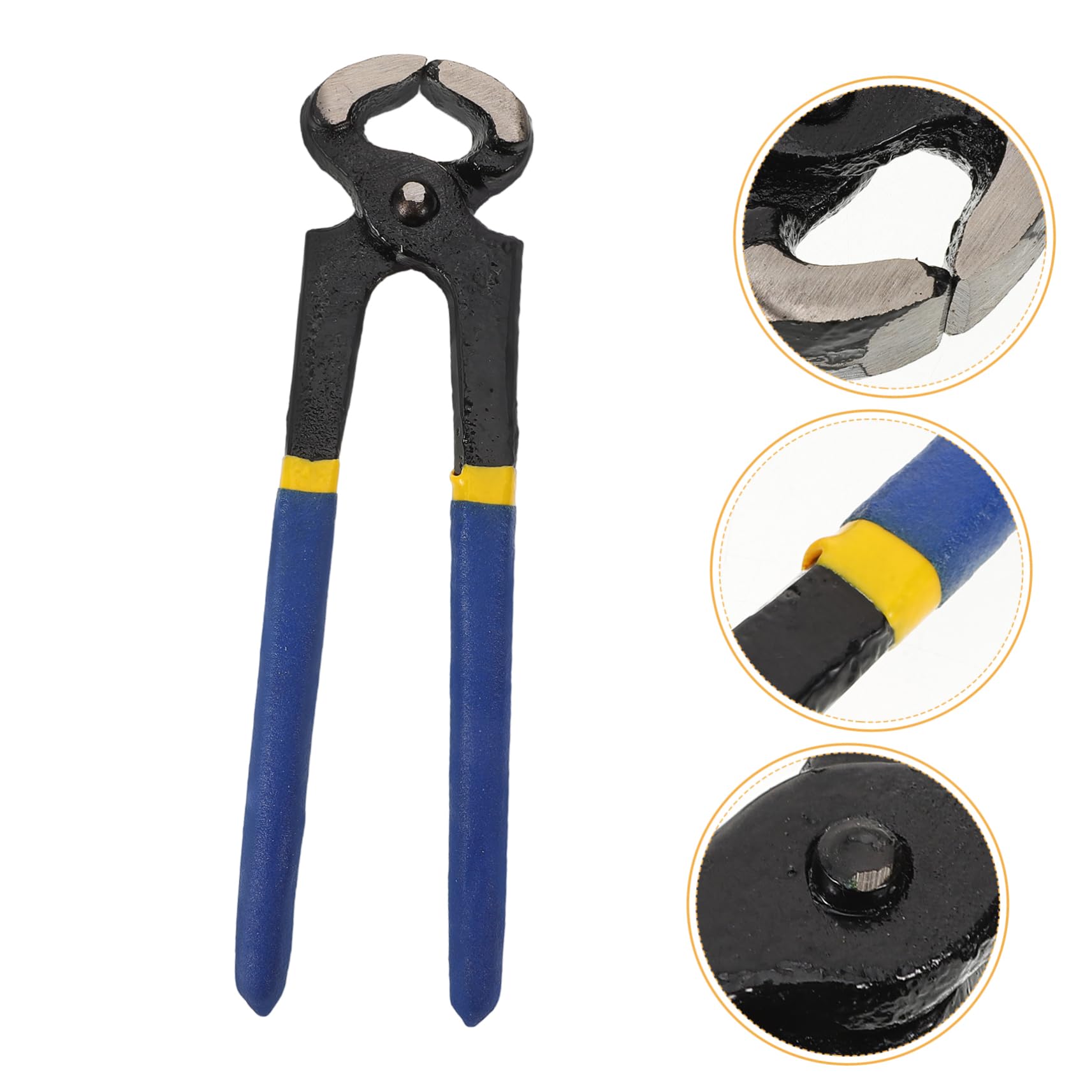 YARNOW 5 Uds Alicates De Corte De Pezuñas Herramienta De Corte De Pezuñas Herramienta De Corte De Herradura Recortadora De Zapatos De Caballo Tijeras De Pie De Caballo Tijeras De Pezuñas