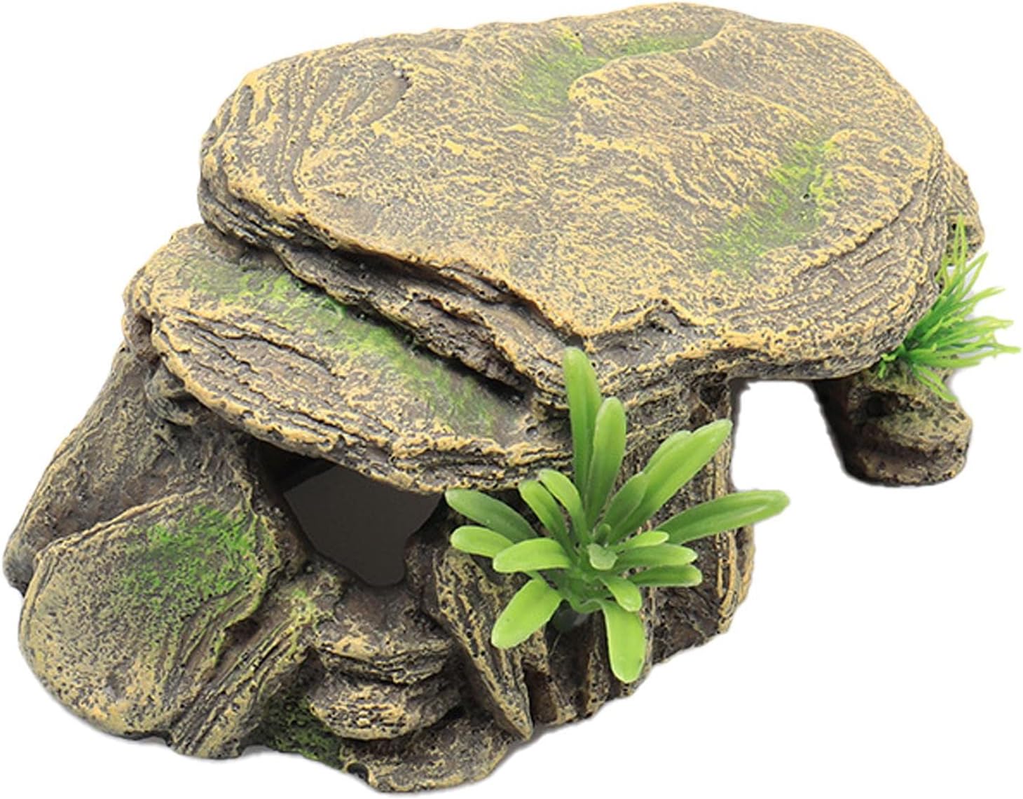 Anloximt SchildkrötenReptilLebensraum, der Höhlen versteckt