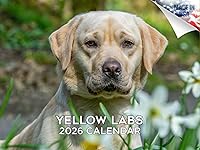 Vista 126 de Razas de Perros 2017