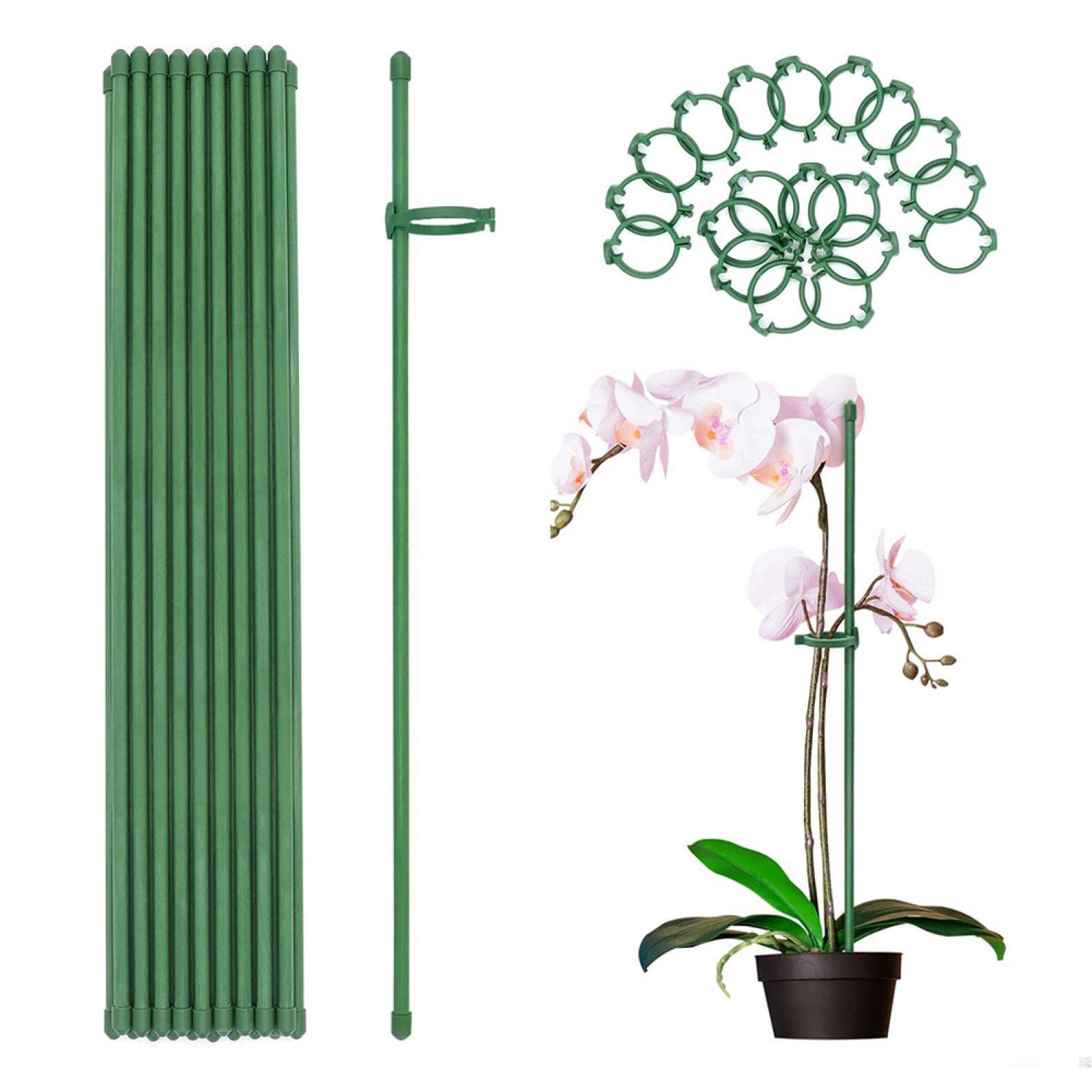 Pflanzenstäbchen 40 Cm – Verstellbare Stützen Mit Schnallen Für Blumen & Tomaten, 20 Stück Set