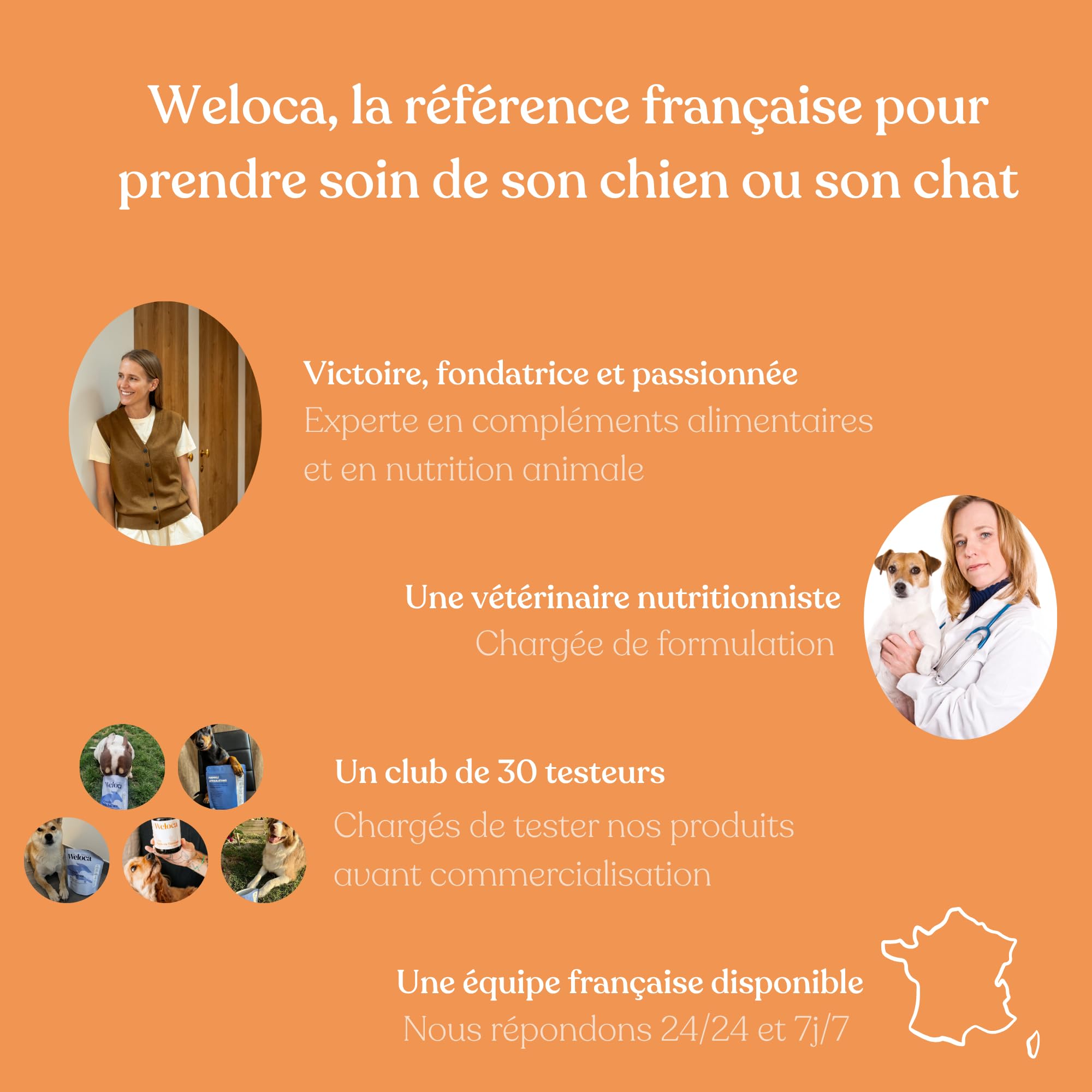 Huile de Saumon pour Chien et Chat | Marque française | Saumon Premium écossais | Riche en oméga 3 6 9 | 100% Naturel | Pressée à Froid et Pure | Complément Alimentaire Chien | 500 ML