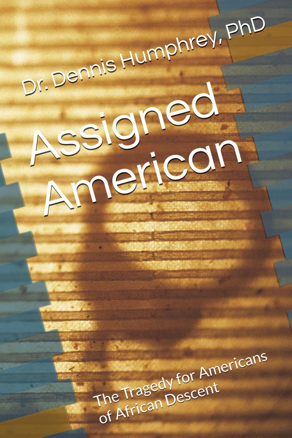 Assigned American: The Tragedy for Americans of African Descent