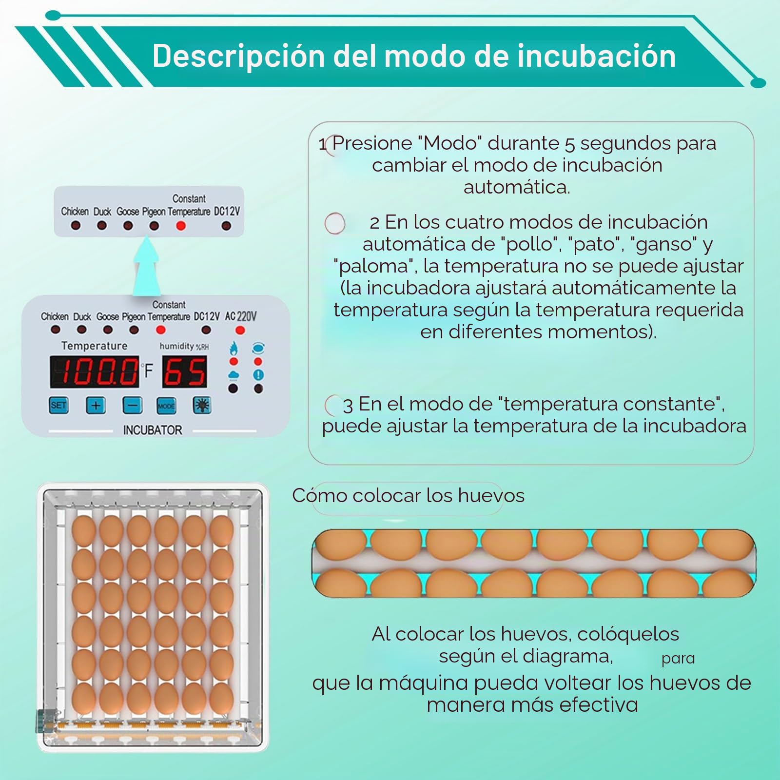 36/120 Incubadora Huevo Automático, Huevos Incubadoras para Huevos De Ave De Coral, Silenciador Incubadora De Huevo Automático, Incubadora Con Cubierta Caliente (36)
