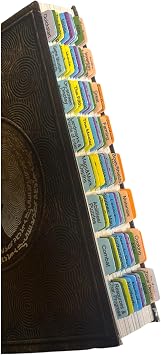 Book Tabs for The Legend of Zelda Tears of the Kingdom Guide