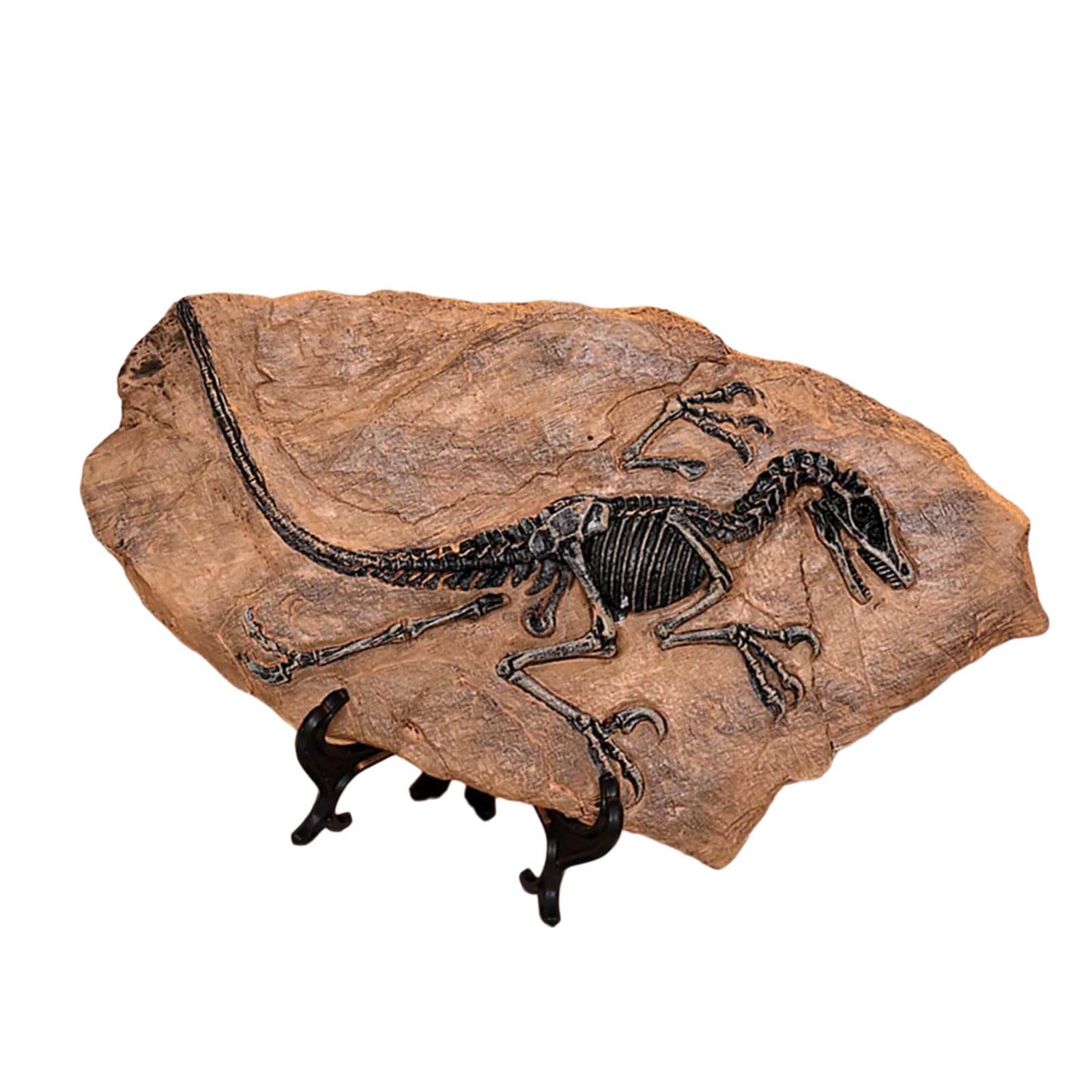 Obotsnoi Tyrannosaurus Rex Dinosaur Fossils Resins Skeleton Model Skull Statue Bone Figurines Replicas For Desktop Book Shelf Display Ornament